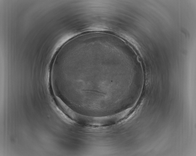 X0000112101179200908041505