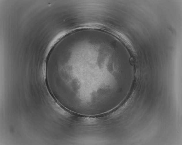 X0000112101180200908041505