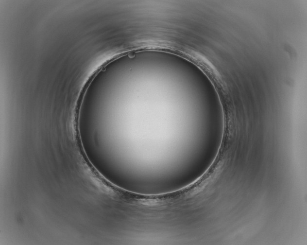 X0000112101182200908041505