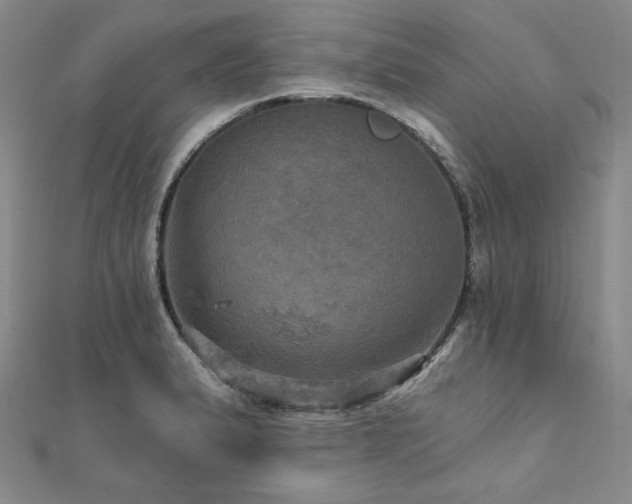 X0000112101183200908041505