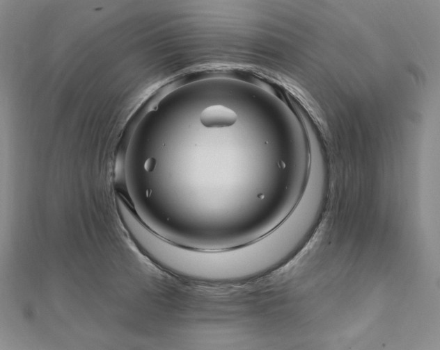 X0000112101185200908041505