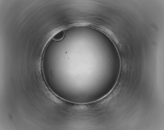 X0000112101186200908041505