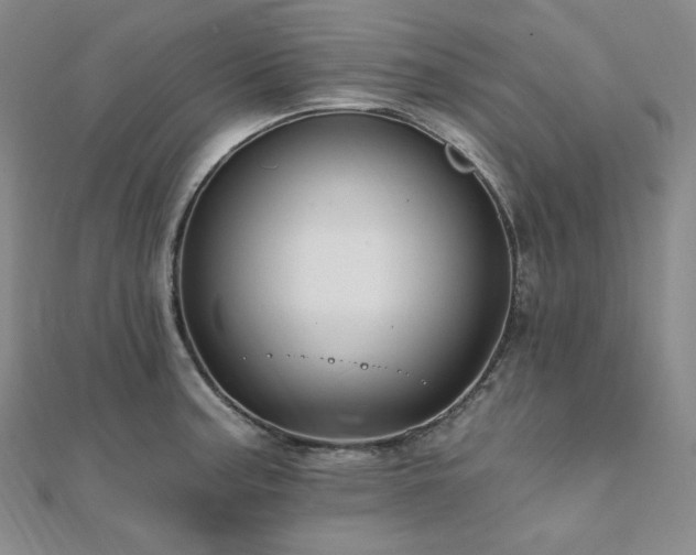 X0000112101187200908041505