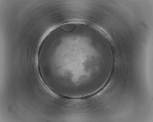 X0000112101188200908041505