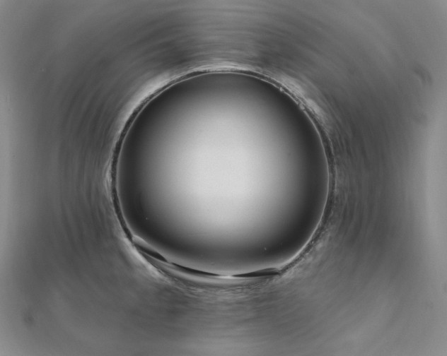 X0000112101189200908041505