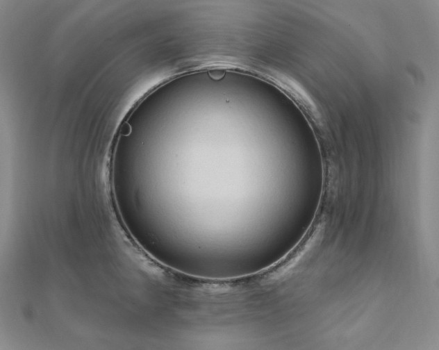 X0000112101190200908041505