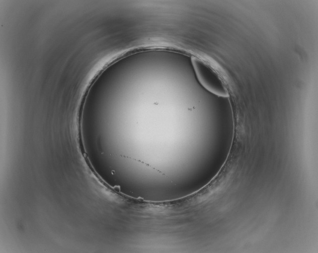 X0000112101191200908041504