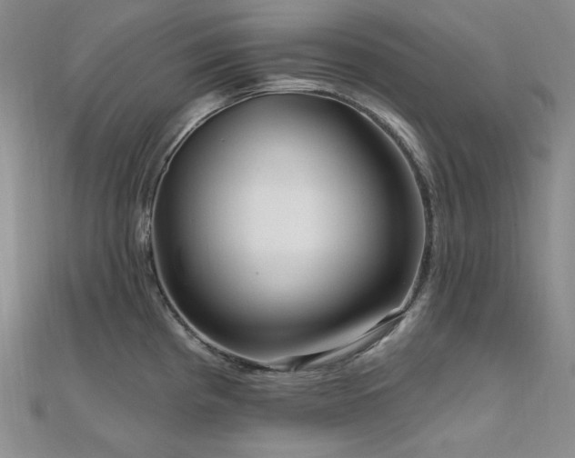 X0000112101193200908041504