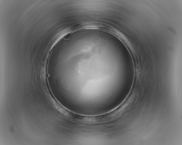 X0000112101194200908041504