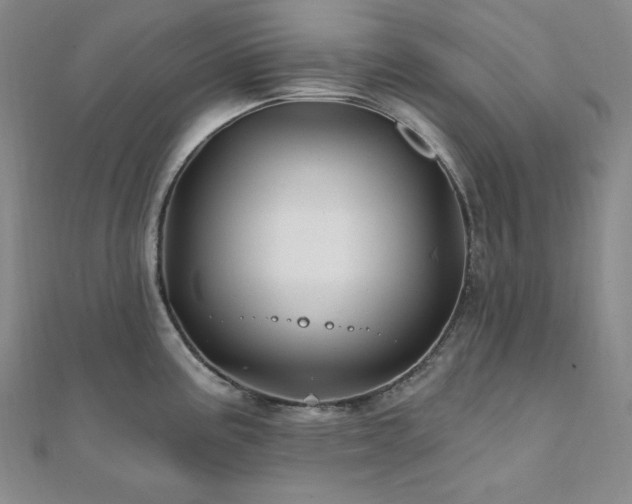 X0000112101195200908041504