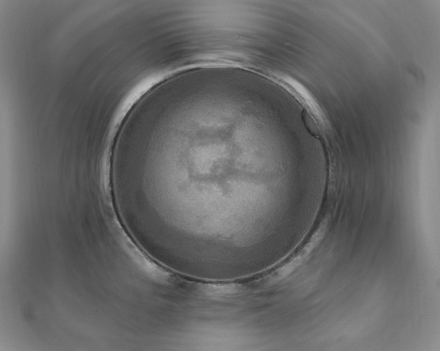 X0000112101196200908041504