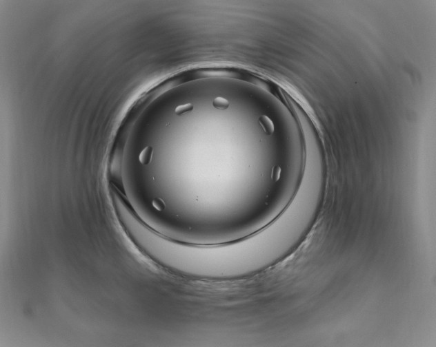 X0000112101197200908041504