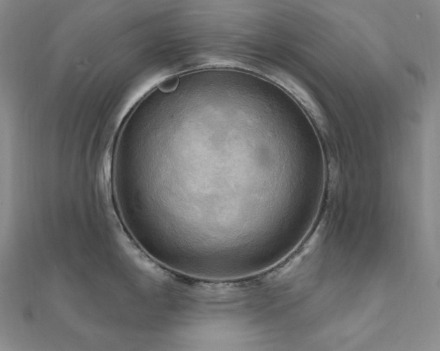 X0000112101198200908041504