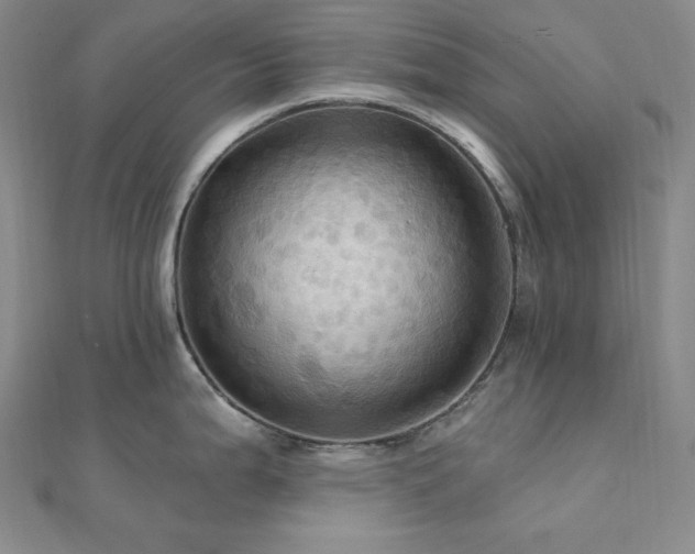 X0000112101199200908041504
