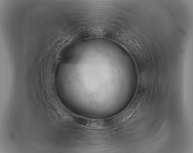 X0000112101201200908041504