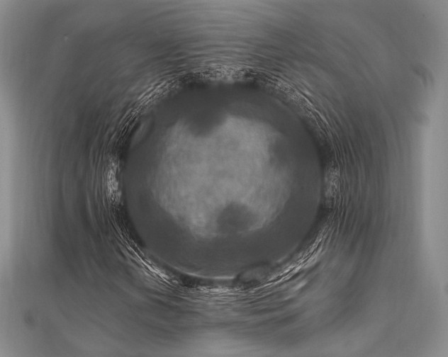 X0000112101202200908041504