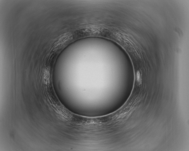 X0000112101203200908041504