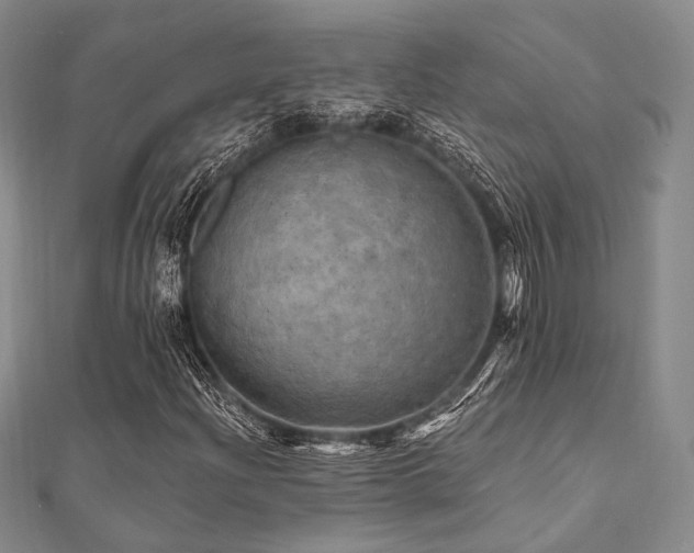 X0000112101204200908041504