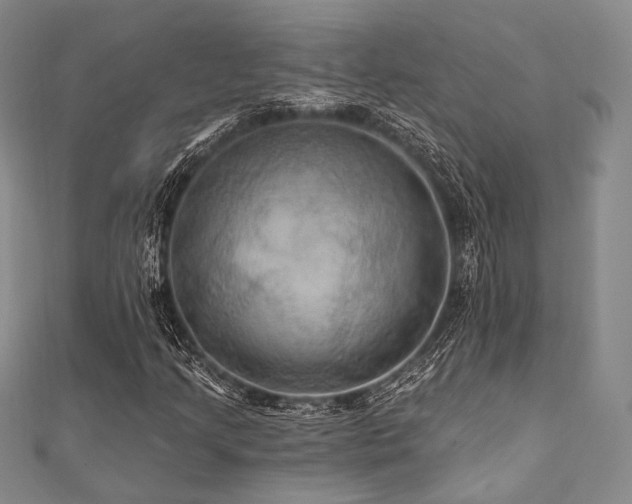 X0000112101205200908041504