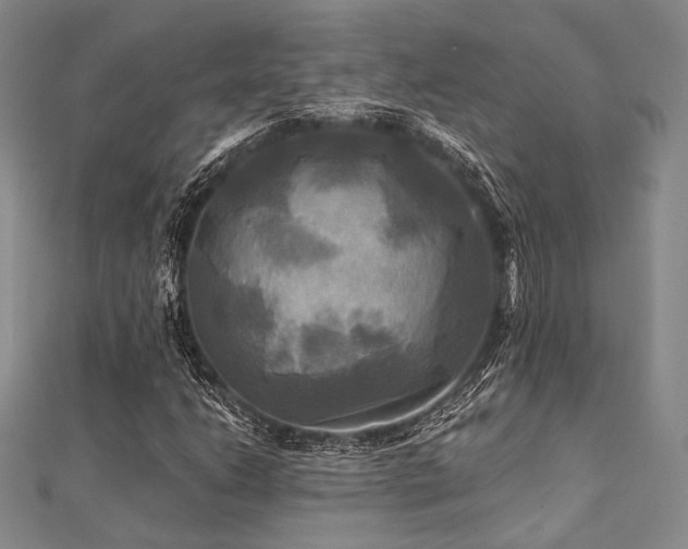 X0000112101206200908041504
