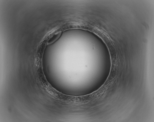 X0000112101207200908041504