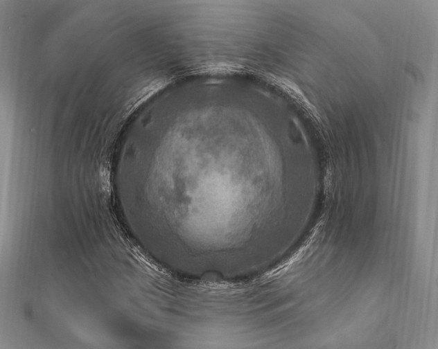 X0000112101209200908041504