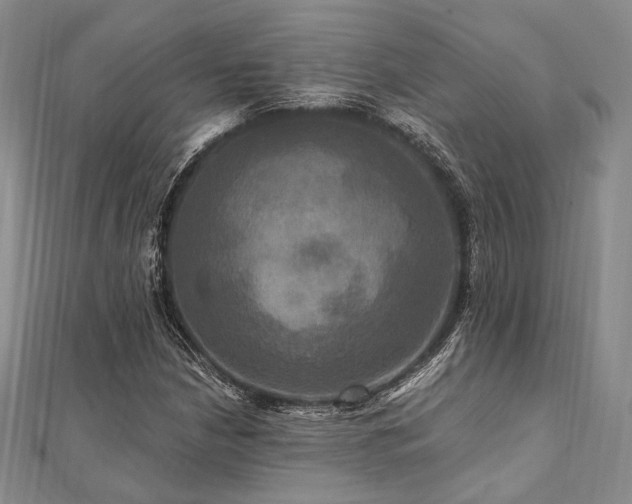 X0000112101210200908041504
