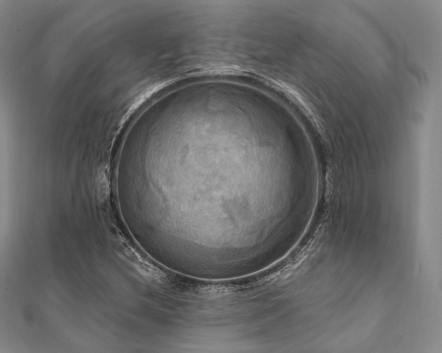 X0000112101212200908041504