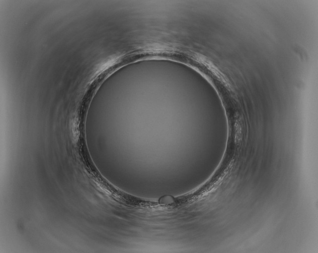 X0000112101213200908041504