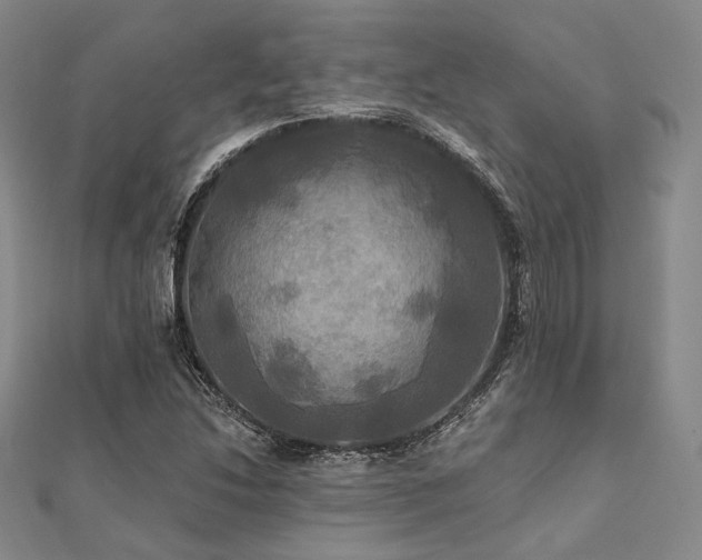 X0000112101214200908041504