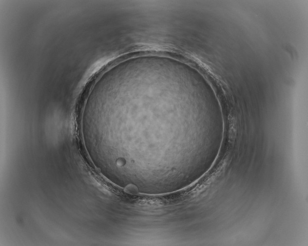 X0000112101215200908041504