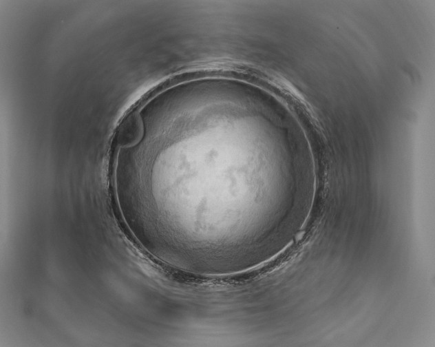 X0000112101216200908041504