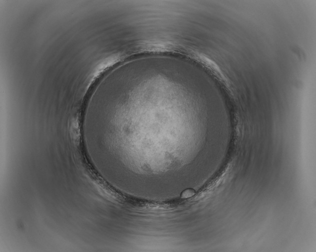 X0000112101218200908041504