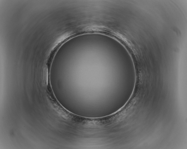 X0000112101219200908041504