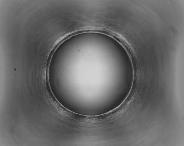X0000112101220200908041504