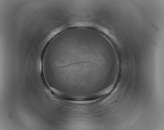 X0000112101221200908041504