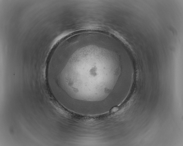 X0000112101222200908041504