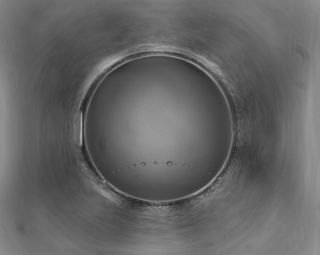 X0000112101223200908041504