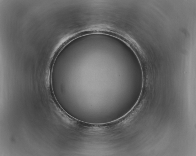 X0000112101224200908041504
