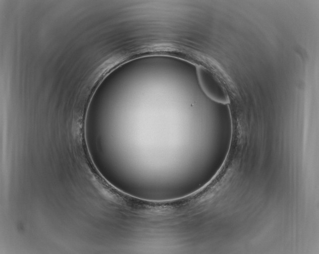 X0000112101225200908041504