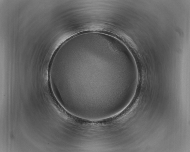 X0000112101226200908041504