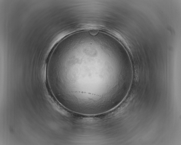 X0000112101227200908041504