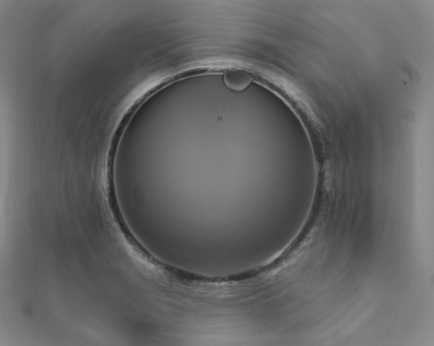 X0000112101229200908041504