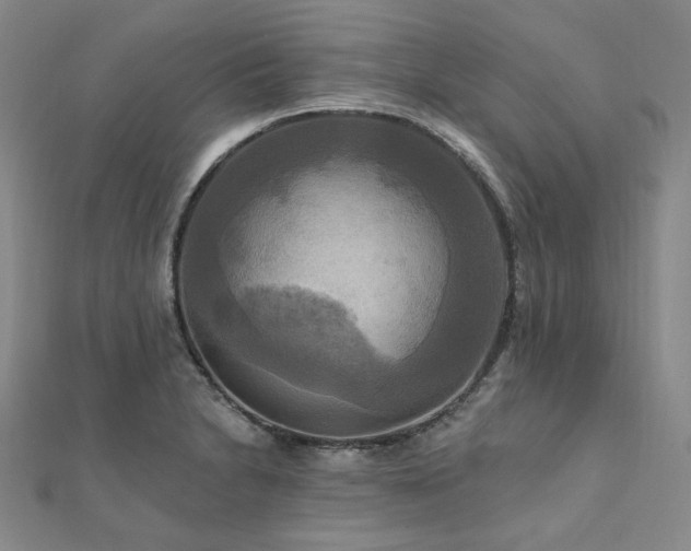 X0000112101230200908041504