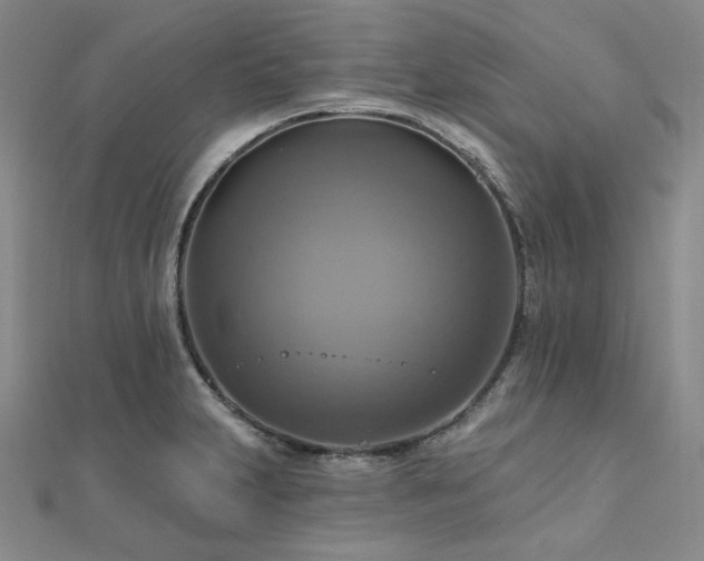 X0000112101231200908041504