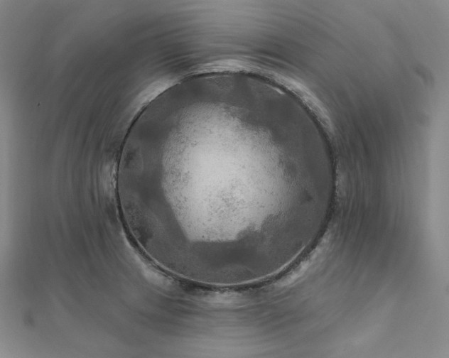 X0000112101233200908041504