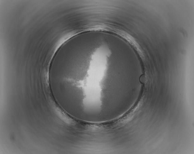 X0000112101234200908041504