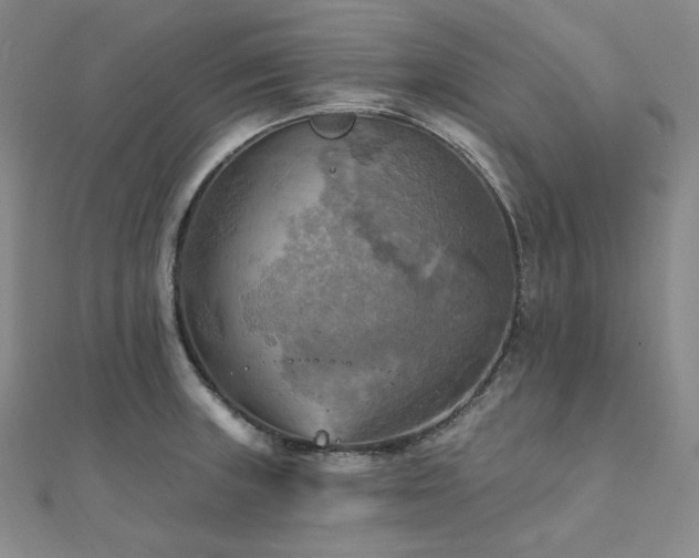 X0000112101235200908041504