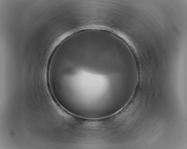 X0000112101237200908041504