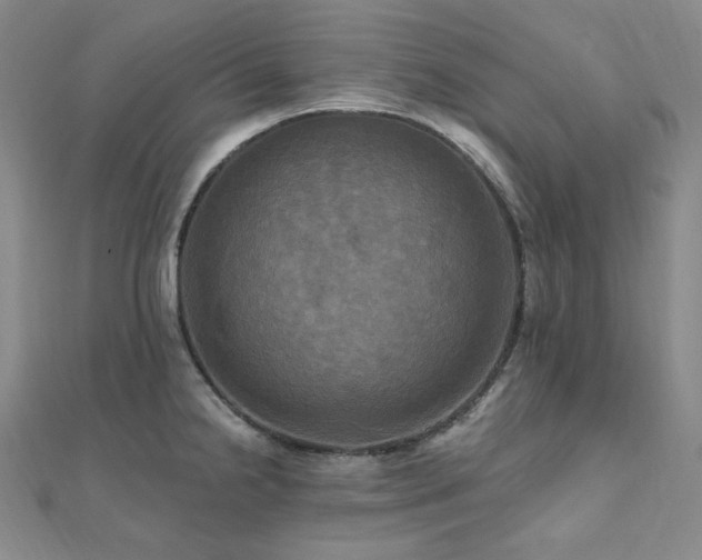 X0000112101238200908041504